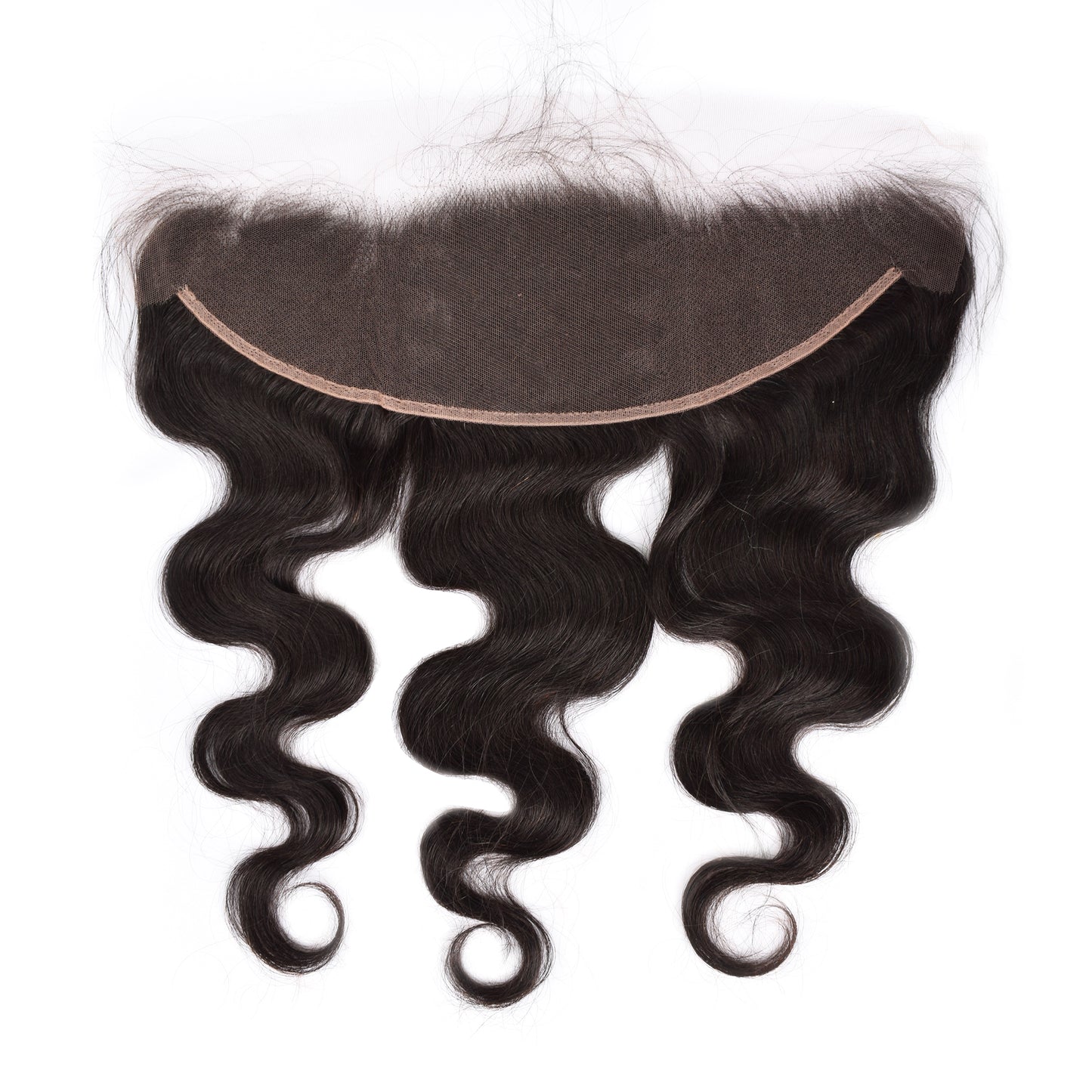 Transparent Frontal